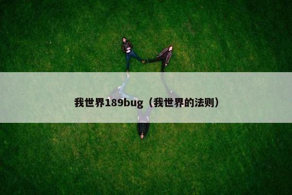 我世界189bug（我世界的法则）