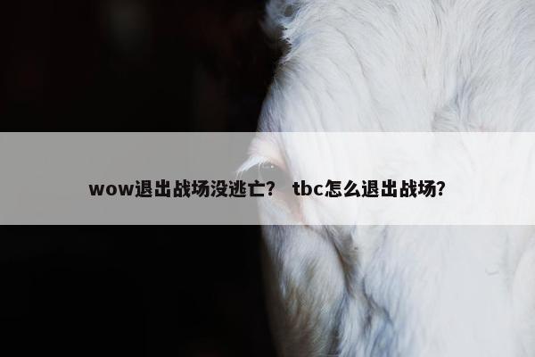 wow退出战场没逃亡？ tbc怎么退出战场？