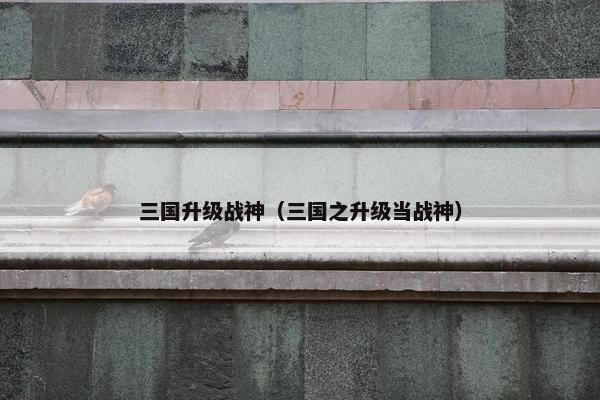 三国升级战神（三国之升级当战神）