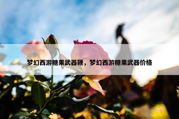 梦幻西游糖果武器鞭，梦幻西游糖果武器价格