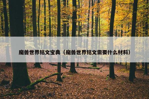 魔兽世界铭文宝典（魔兽世界铭文需要什么材料）