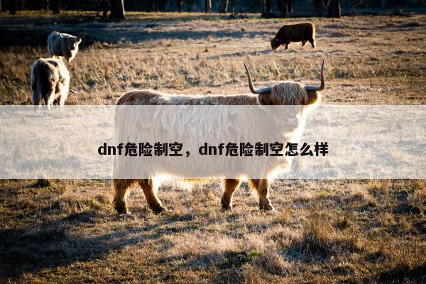 dnf危险制空，dnf危险制空怎么样
