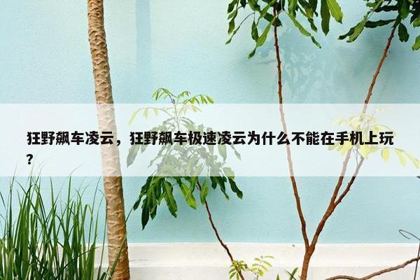 狂野飙车凌云，狂野飙车极速凌云为什么不能在手机上玩?