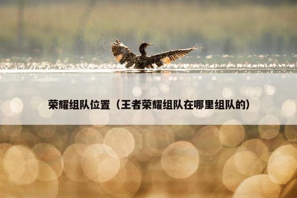 荣耀组队位置（王者荣耀组队在哪里组队的）