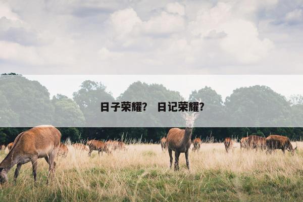 日子荣耀？ 日记荣耀？