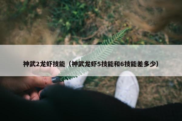 神武2龙虾技能（神武龙虾5技能和6技能差多少）