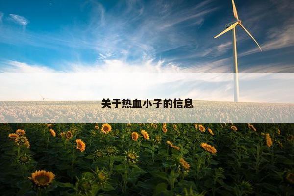 关于热血小子的信息