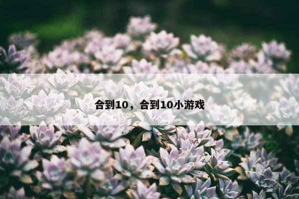 合到10，合到10小游戏