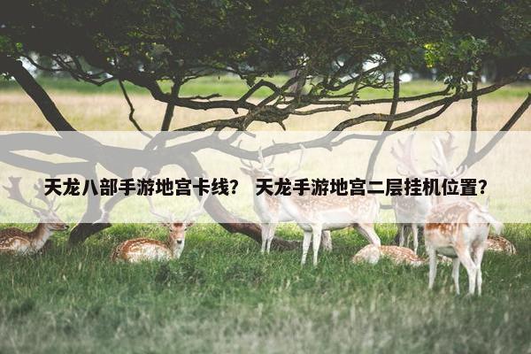 天龙八部手游地宫卡线？ 天龙手游地宫二层挂机位置？