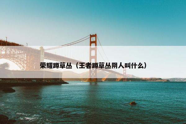 荣耀蹲草丛（王者蹲草丛阴人叫什么）