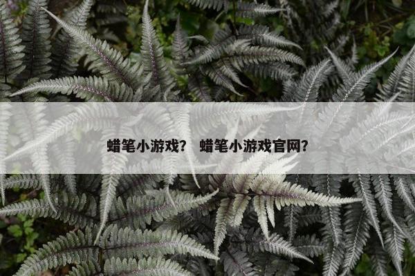 蜡笔小游戏？ 蜡笔小游戏官网？