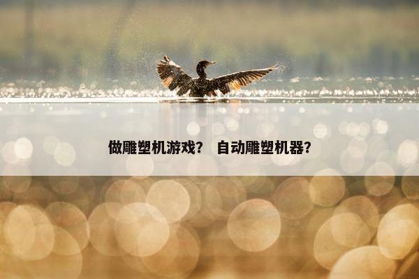做雕塑机游戏？ 自动雕塑机器？