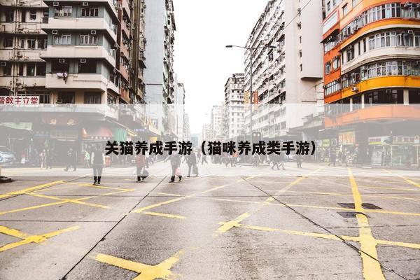 关猫养成手游（猫咪养成类手游）