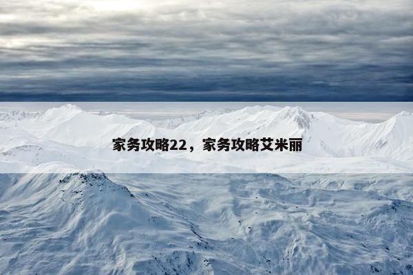 家务攻略22，家务攻略艾米丽