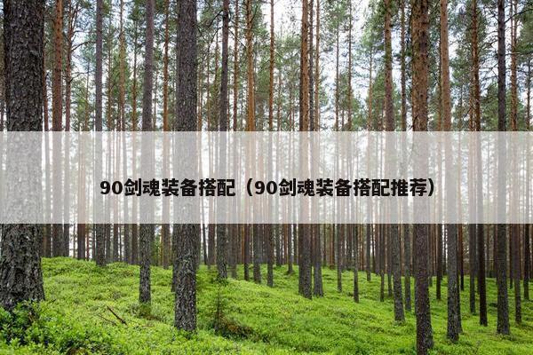 90剑魂装备搭配（90剑魂装备搭配推荐）
