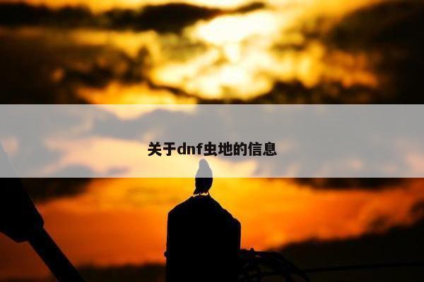 关于dnf虫地的信息