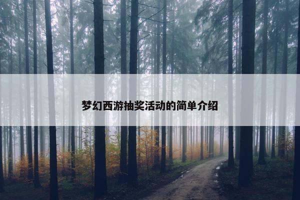 梦幻西游抽奖活动的简单介绍