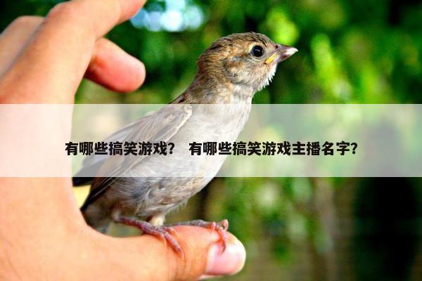 有哪些搞笑游戏？ 有哪些搞笑游戏主播名字？