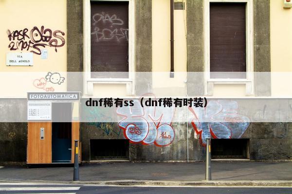 dnf稀有ss（dnf稀有时装）