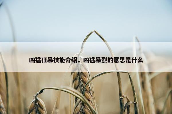 凶猛狂暴技能介绍，凶猛暴烈的意思是什么