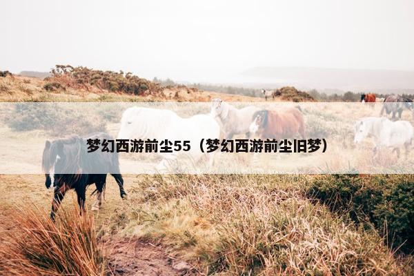 梦幻西游前尘55（梦幻西游前尘旧梦）
