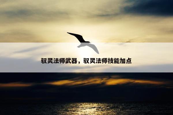 驭灵法师武器，驭灵法师技能加点