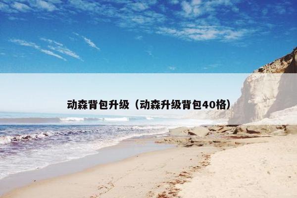 动森背包升级（动森升级背包40格）