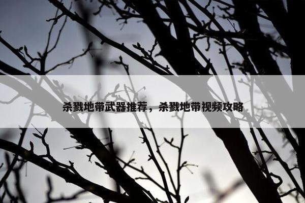 杀戮地带武器推荐，杀戮地带视频攻略
