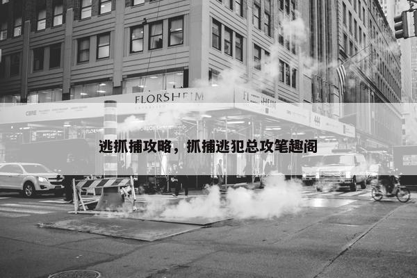 逃抓捕攻略，抓捕逃犯总攻笔趣阁