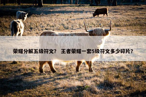 荣耀分解五级符文？ 王者荣耀一套5级符文多少碎片？