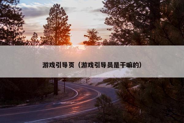 游戏引导页（游戏引导员是干嘛的）