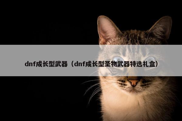 dnf成长型武器（dnf成长型圣物武器特选礼盒）