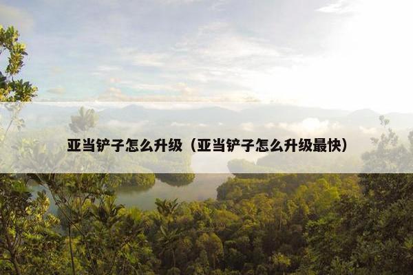 亚当铲子怎么升级（亚当铲子怎么升级最快）