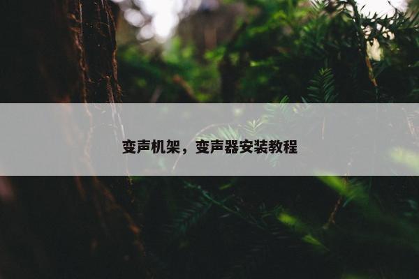 变声机架，变声器安装教程