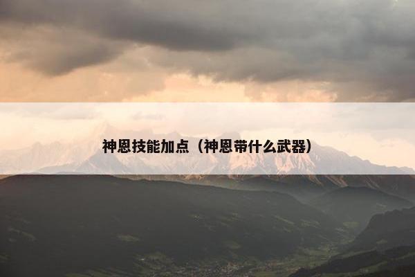 神恩技能加点（神恩带什么武器）
