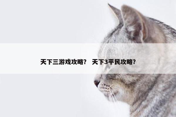 天下三游戏攻略？ 天下3平民攻略？