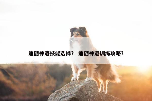 追随神迹技能选择？ 追随神迹训练攻略？