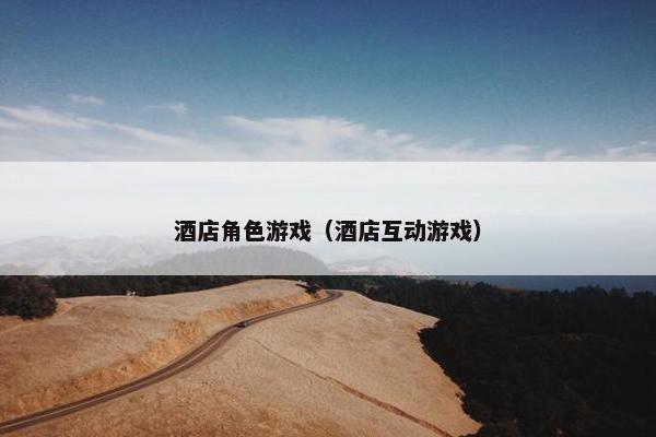 酒店角色游戏（酒店互动游戏）