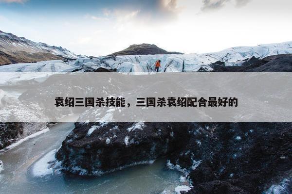 袁绍三国杀技能，三国杀袁绍配合最好的