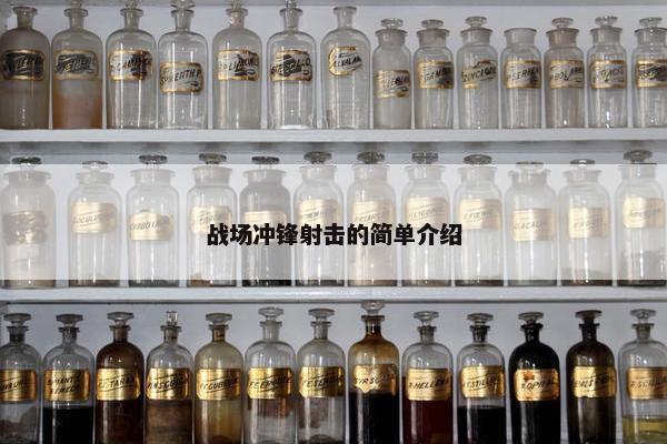 战场冲锋射击的简单介绍