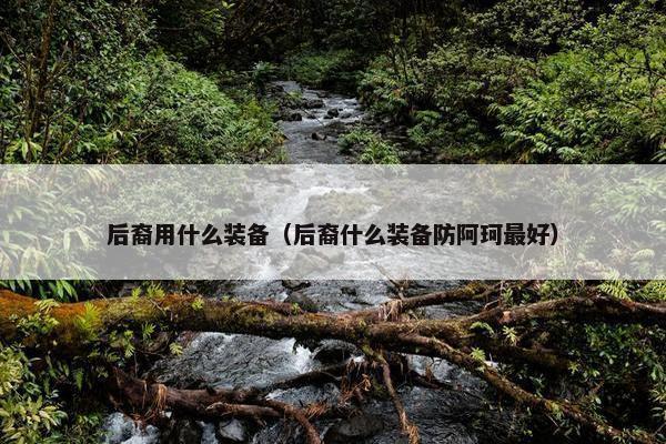 后裔用什么装备（后裔什么装备防阿珂最好）