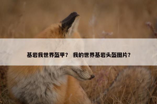 基岩我世界盔甲？ 我的世界基岩头盔图片？