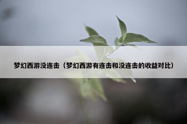 梦幻西游没连击（梦幻西游有连击和没连击的收益对比）