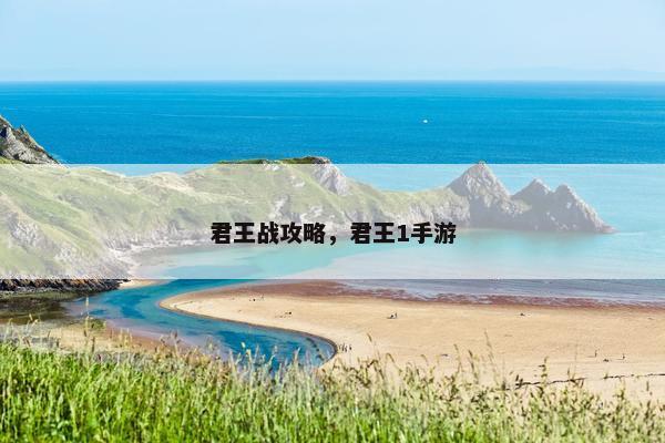 君王战攻略，君王1手游