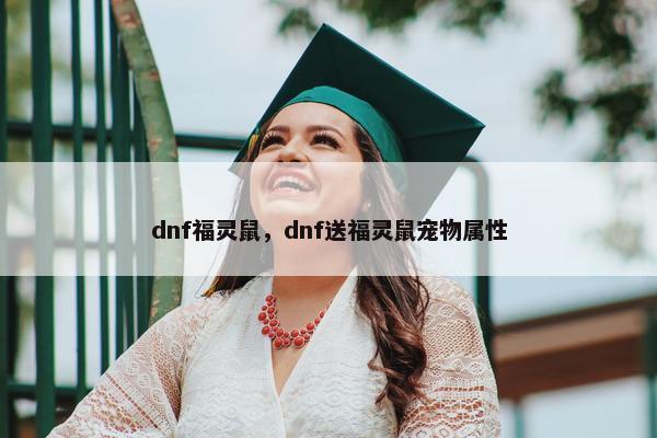 dnf福灵鼠，dnf送福灵鼠宠物属性