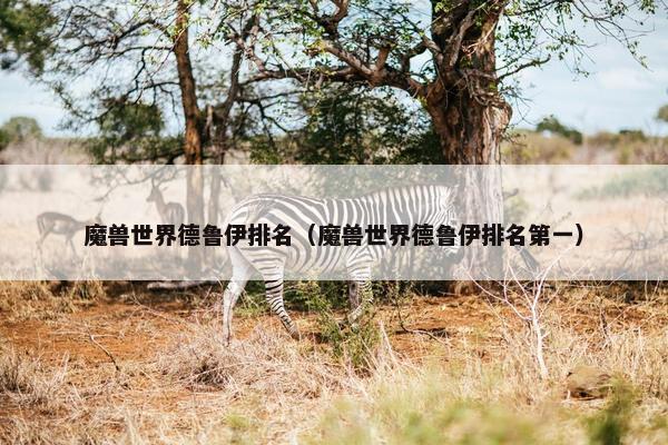 魔兽世界德鲁伊排名（魔兽世界德鲁伊排名第一）
