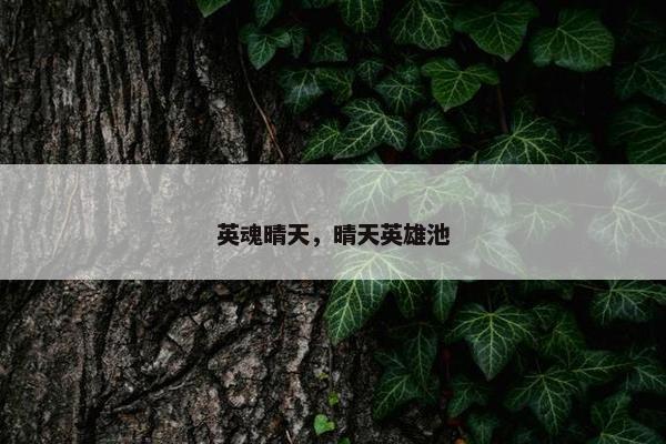 英魂晴天，晴天英雄池