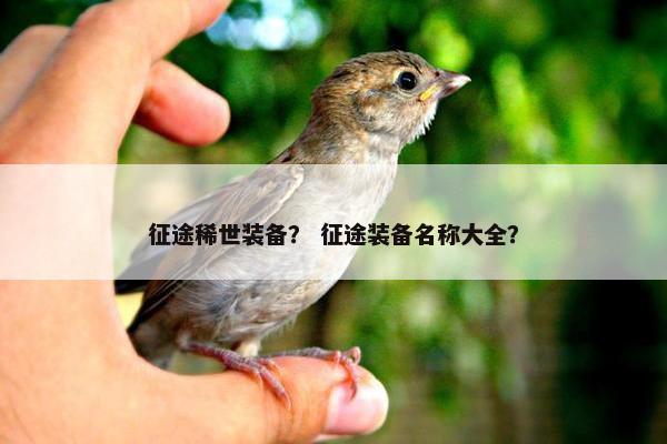 征途稀世装备？ 征途装备名称大全？