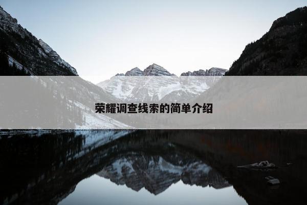 荣耀调查线索的简单介绍