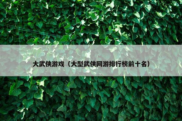 大武侠游戏（大型武侠网游排行榜前十名）